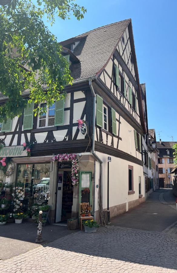 La Maison Du Batelier - Quartier Historique Petite Venise Colmar Luaran gambar
